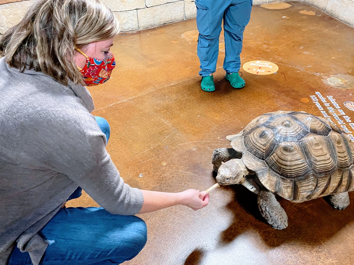 Jodi feeding a turtle