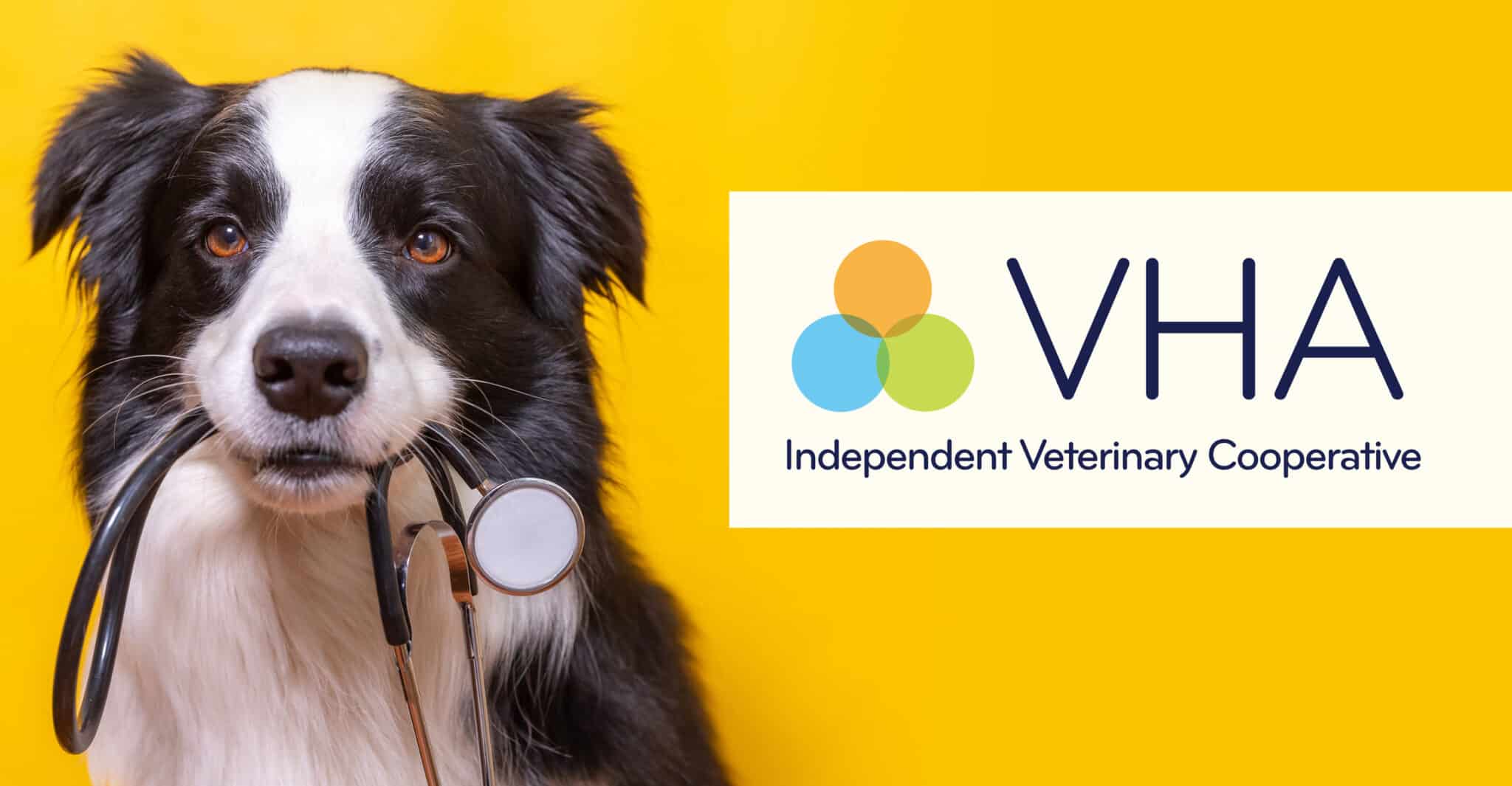 Veterinary Hospitals Association